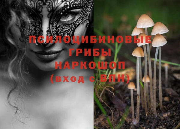 твердый Алексеевка