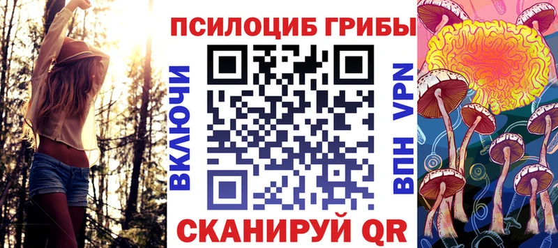 Псилоцибиновые грибы мицелий  kraken tor  Алзамай 