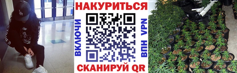 мега ССЫЛКА  Алзамай  Бошки марихуана план  купить наркотик 